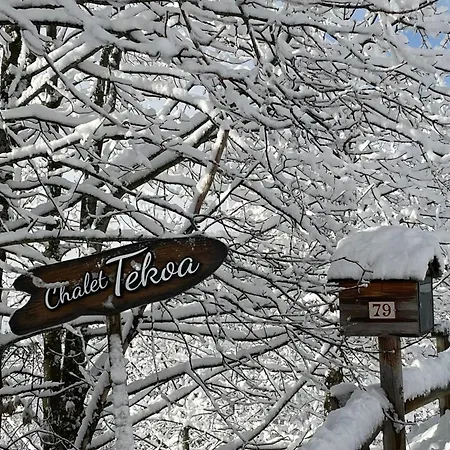 Slow Tekoa 8 Pers - 5 Min From The Slopes 샬레 마니고